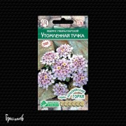 Иберис Утомленная тучка гибралтарский