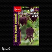 Клематис Бурый Клематис Бурый