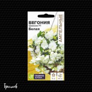 Бегония ШНСОН белая F1