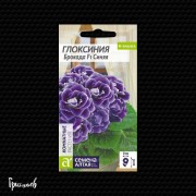 Глоксиния Глоксиния брокада синяя F1 Глоксиния Глоксиния брокада синяя F1