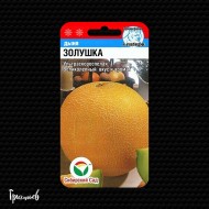 Дыня Золушка Дыня Золушка