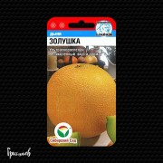 Дыня Золушка Дыня Золушка