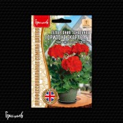 Пеларгония Горизонт Скарлет F1 зональная Пеларгония Горизонт Скарлет F1 зональная