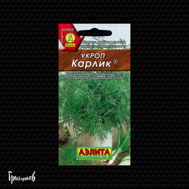 Укроп Карлик Укроп Карлик
