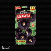 Шток-роза Мулатка Шток-роза Мулатка