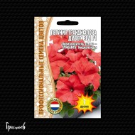 Петуния Дювет Красная F1