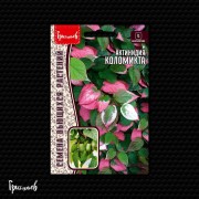 Актинидия Коломикта (10 шт.)