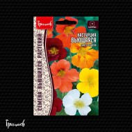 Настурция Вьющаяся (смесь окрасок) Настурция Вьющаяся (смесь окрасок)