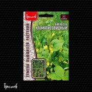 Кирказон Клематисовидный Кирказон Клематисовидный