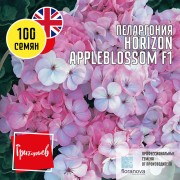 Пеларгония Горизонт Яблоневый Цвет F1
