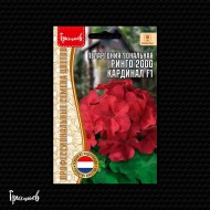 Пеларгония Ринго 2000 Кардинал F1 зональная