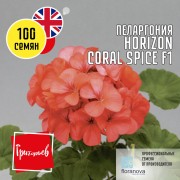 Пеларгония Горизонт Коралловая Пряность F1