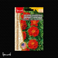Бархатцы Дюранго Красные отклонённые