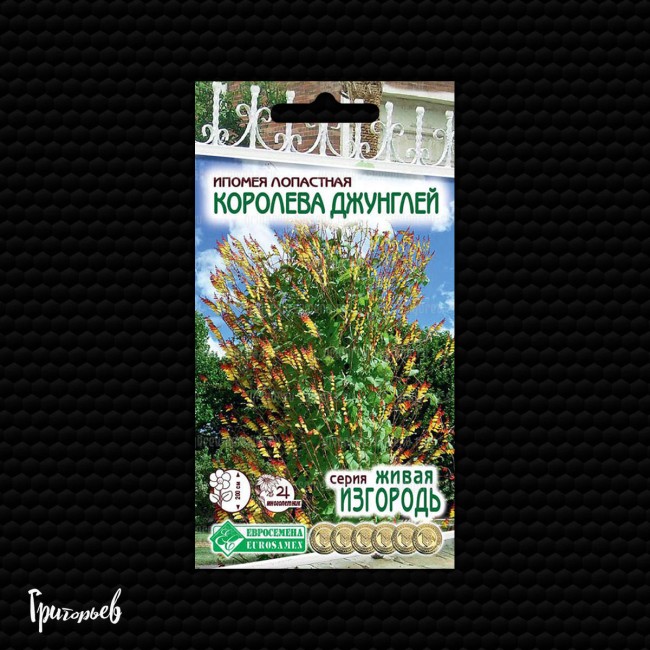 Ипомея Королева джунглей лопастная