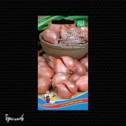 Лук шалот Шалот семейный Лук шалот Шалот семейный