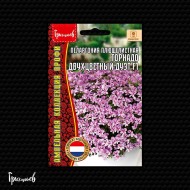 Пеларгония Торнадо Двухцветный Дуэт F1 плющелистная