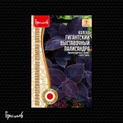 Колеус Гигантский Выставочный Палисандра Колеус Гигантский Выставочный Палисандра