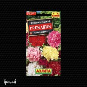 Гвоздика Гренадин смесь сортов садовая
