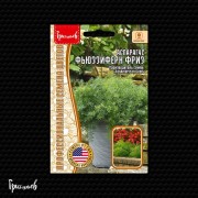 Аспарагус Фьюззифёрн Фриз Аспарагус Фьюззифёрн Фриз