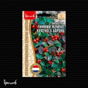 Гаультерия Зимний Жемчуг Красного Барона лежачая