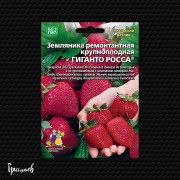 Земляника Гиганто росса ремонтантная Земляника Гиганто росса ремонтантная