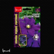 Клематис Цельнолистный