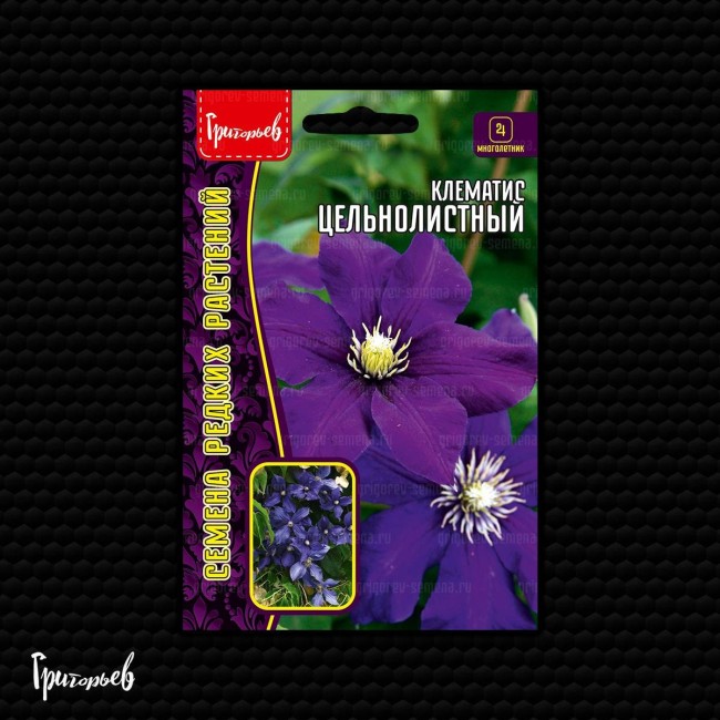 Клематис Цельнолистный