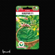 Огурец Кибрия F1 Огурец Кибрия F1
