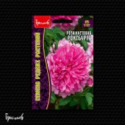 Роза Роксбурга кустовая