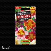 Сальпиглосис Фейерверк смесь окрасок Сальпиглосис Фейерверк смесь окрасок