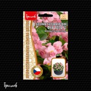 Бегония Фея Роза F1 густомахровая