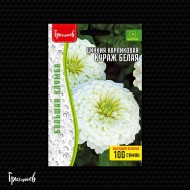 Цинния Кураж Белая карликовая