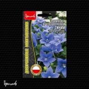 Платикодон Синий крупноцветковый