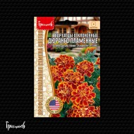 Бархатцы Дюранго Пламенные отклонённые