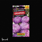 Астра Хризантелла лиловый туман китайская