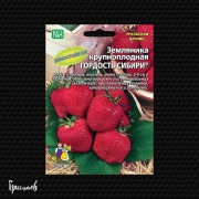 Земляника Гордость сибири крупноплодная Земляника Гордость сибири крупноплодная
