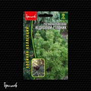 Сосна Кедровый Стланик карликовая