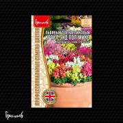 Львиный Зев Кракл энд Поп Микс карликовый