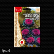 Капуста декоративная Крейн Красная