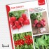 Редис Селеста F1 (1 г)