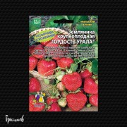 Земляника Гордость урала крупноплодная Земляника Гордость урала крупноплодная