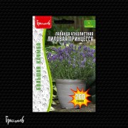 Лаванда Лиловая Принцесса узколистная (200 шт.)