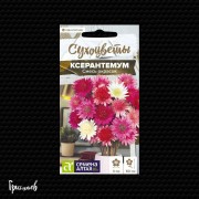 Ксерантемум Смесь