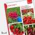 Редис Эскала F1 (1 г)