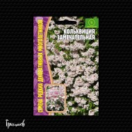 Кольквиция Замечательная