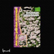 Кольквиция Замечательная Кольквиция Замечательная