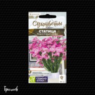 Статица Коралловые рифы Статица Коралловые рифы