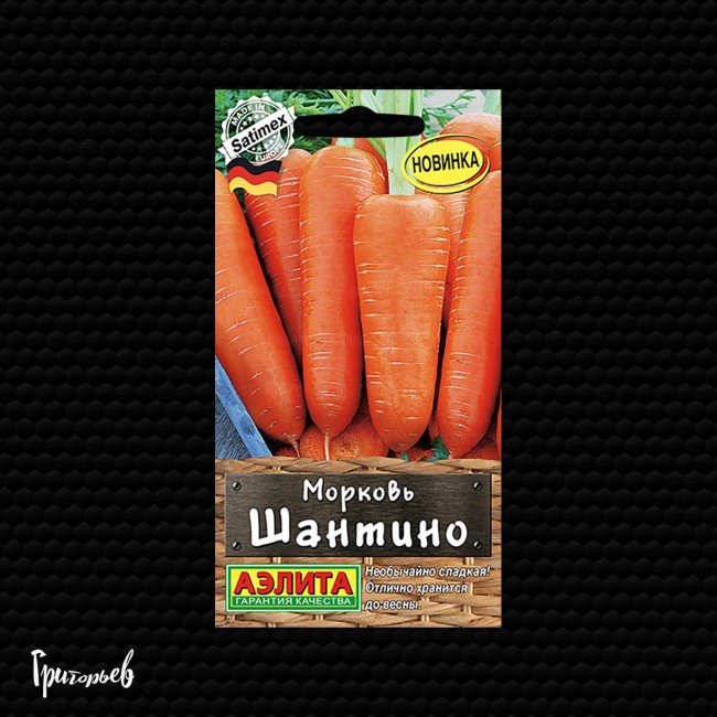 Морковь Шантино