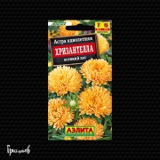 Астра Хризантелла осенний лес китайская