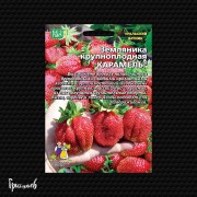 Земляника Карамель крупноплодная Земляника Карамель крупноплодная
